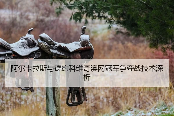 阿尔卡拉斯与德约科维奇澳网冠军争夺战技术深析